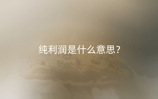 纯利润是什么意思？