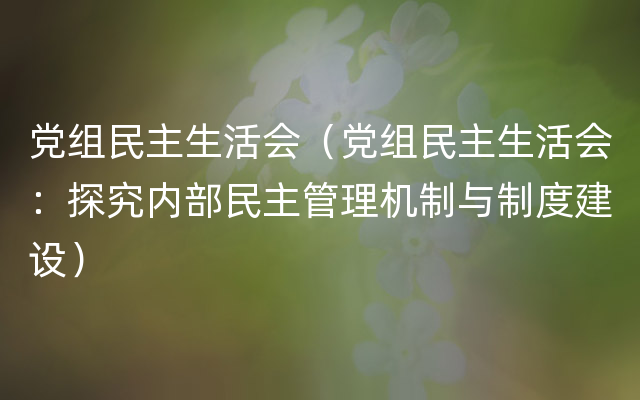 党组民主生活会（党组民主生活会：探究内部民主管理机制与制度建设）