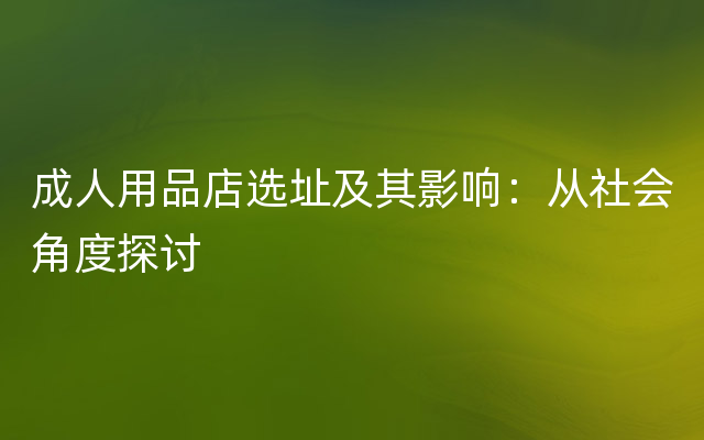 成人用品店选址及其影响：从社会角度探讨