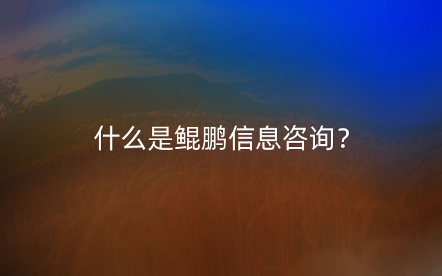 什么是鲲鹏信息咨询？