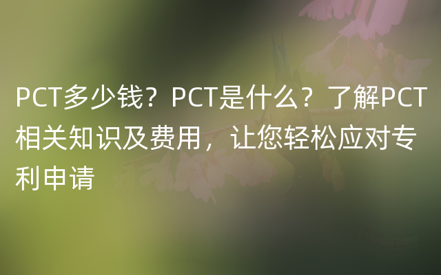 PCT多少钱？PCT是什么？了解PCT相关知识及费用，