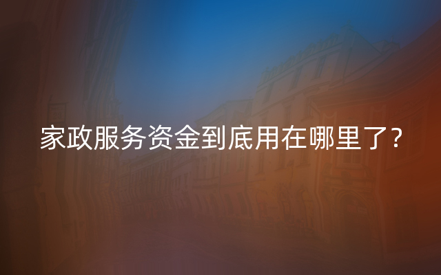 家政服务资金到底用在哪里了？