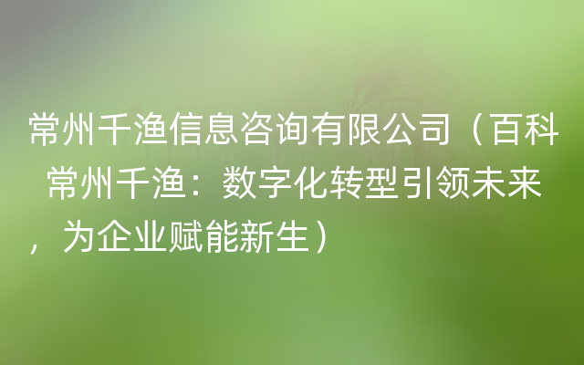 常州千渔信息咨询有限公司（百科  常州千渔：数字化转型引领未来，为企业赋能新生）