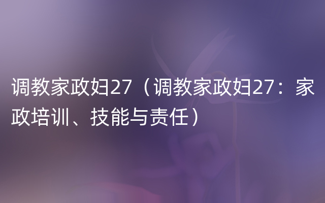 调教家政妇27（调教家政妇27：家政培训、技能与责任）