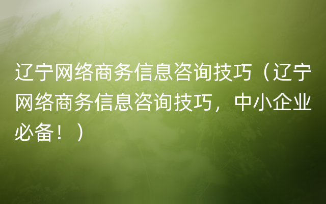 辽宁网络商务信息咨询技巧（辽宁网络商务信息咨询技巧，中小企业必备！）