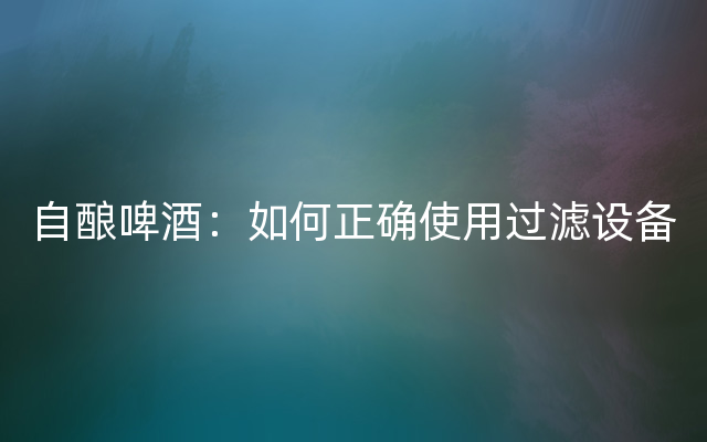 自酿啤酒：如何正确使用过滤设备