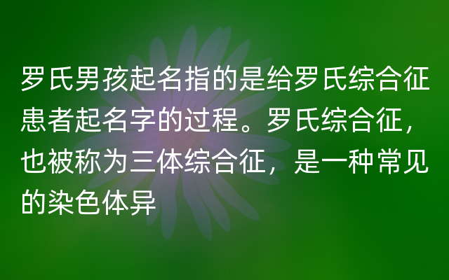 罗氏男孩起名指的是给罗氏综合征患者起名字的过程。罗氏综合征，也被称为三体综合征，