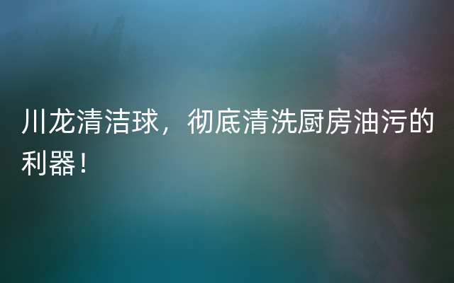 川龙清洁球，彻底清洗厨房油污的利器！