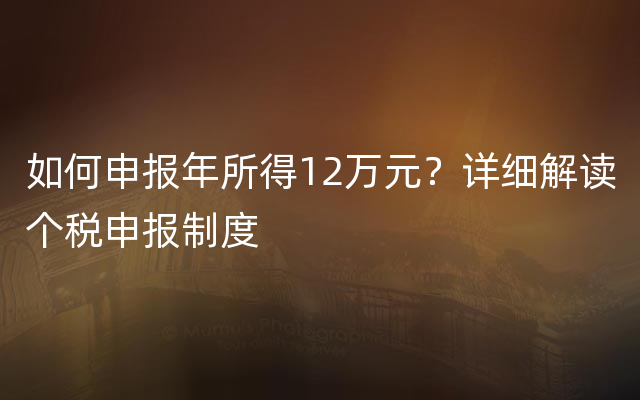 如何申报年所得12万元？详细解读个税申报制度