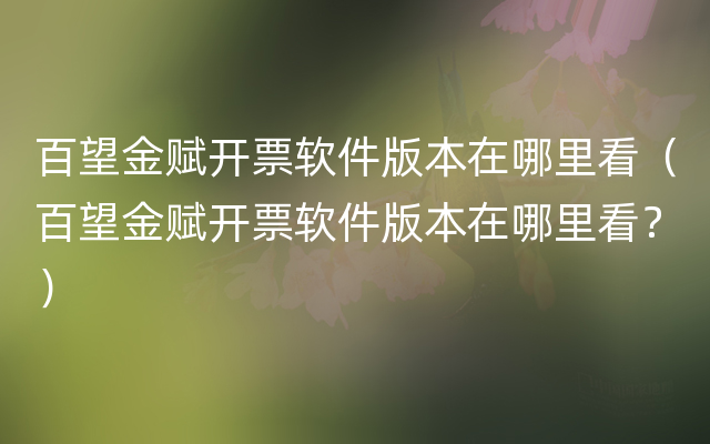 百望金赋开票软件版本在哪里看（百望金赋开票软件版本在哪里看？）