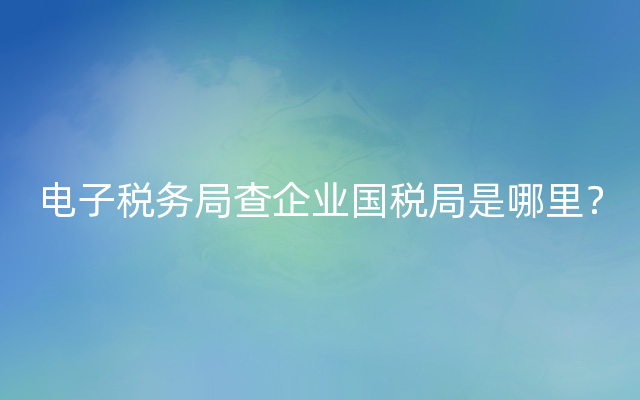 电子税务局查企业国税局是哪里？