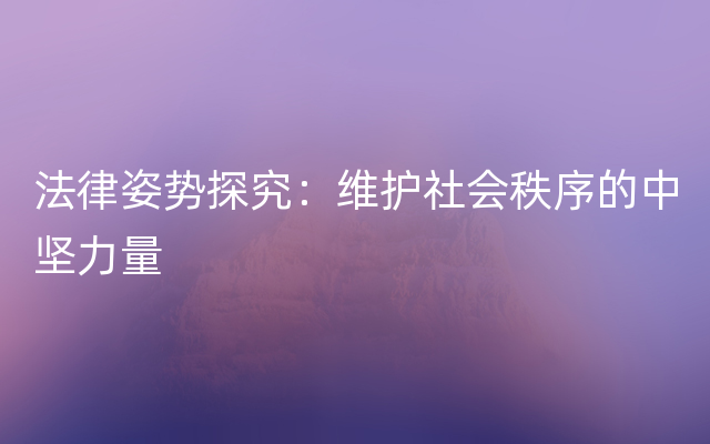 法律姿势探究：维护社会秩序的中坚力量