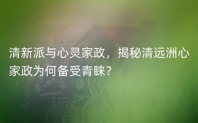 清新派与心灵家政，揭秘清远洲心家政为何备受青睐？