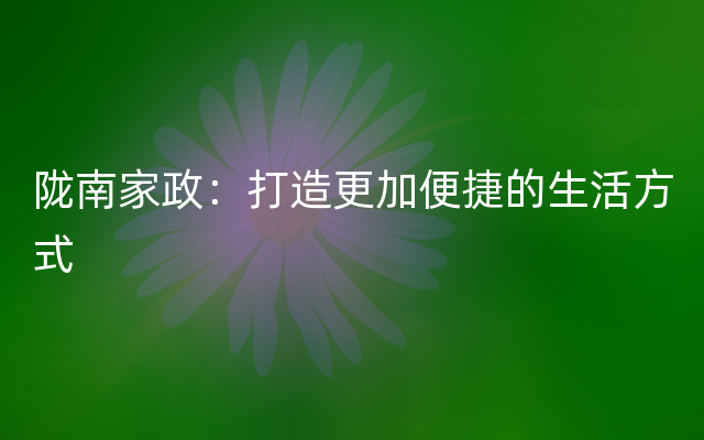 陇南家政：打造更加便捷的生活方式