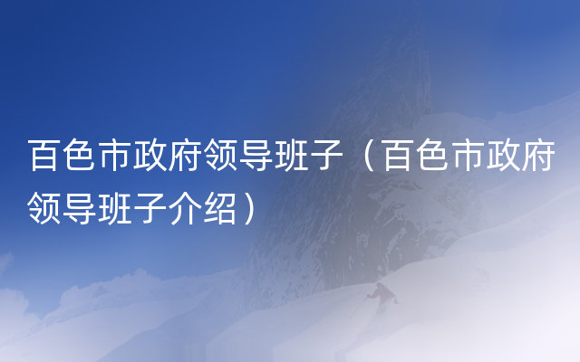 百色市政府领导班子（百色市政府领导班子介绍）