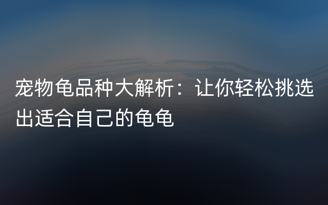 宠物龟品种大解析：让你轻松挑选出适合自己的龟龟