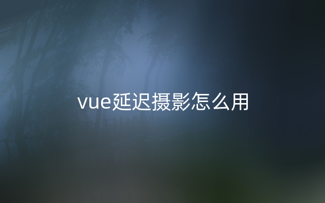 vue延迟摄影怎么用