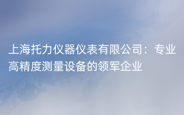 上海托力仪器仪表有限公司：专业高精度测量设备的领军企业