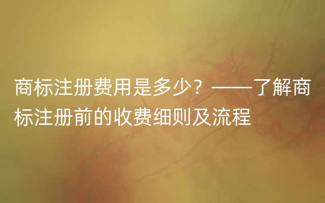 商标注册费用是多少？——了解商标注册前的收费细则及流程