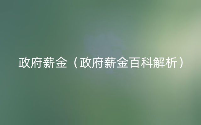 政府薪金（政府薪金百科解析）