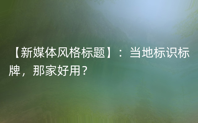 【新媒体风格标题】：当地标识标牌，那家好用？