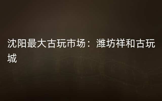 沈阳最大古玩市场：潍坊祥和古玩城