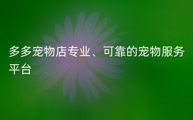 多多宠物店专业、可靠的宠物服务平台