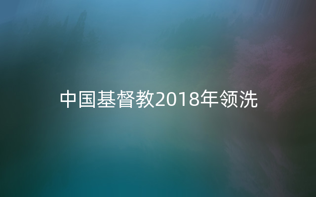 中国基督教2018年领洗