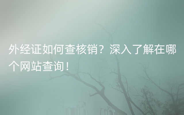 外经证如何查核销？深入了解在哪个网站查询！