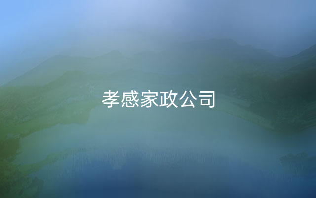 孝感家政公司