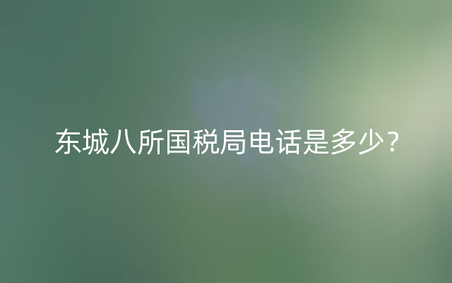 东城八所国税局电话是多少？