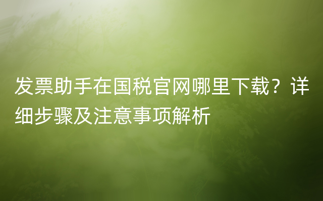 发票助手在国税官网哪里下载？详细步骤及注意事项解析