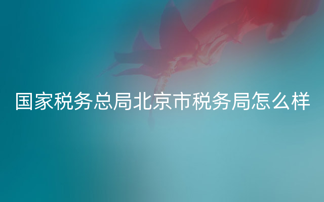 国家税务总局北京市税务局怎么样