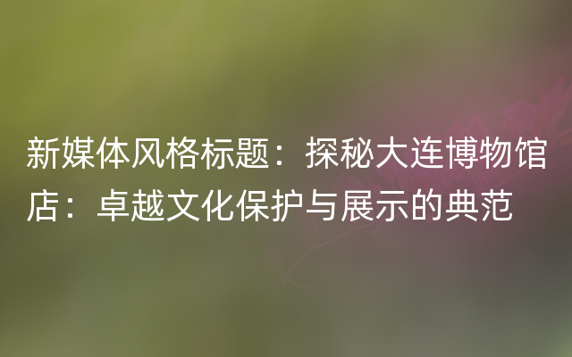 新媒体风格标题：探秘大连博物馆店：卓越文化保护与展示的典范