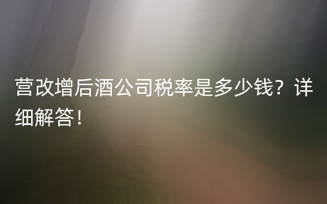 营改增后酒公司税率是多少钱？详细解答！