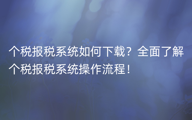 个税报税系统如何下载？全面了解个税报税系统操作流程！