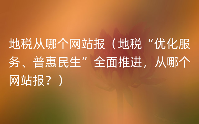 地税从哪个网站报（地税“优化服务、普惠民生”全面推进，从哪个网站报？）