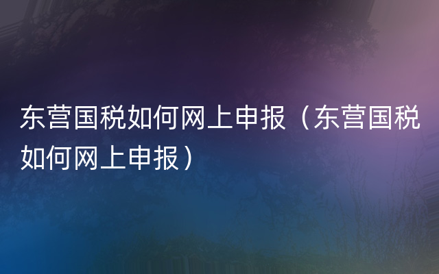 东营国税如何网上申报（东营国税如何网上申报）