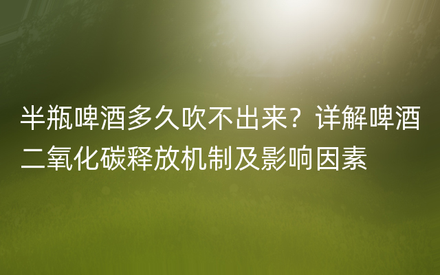 半瓶啤酒多久吹不出来？详解啤酒二氧化碳释放机制及影响因素