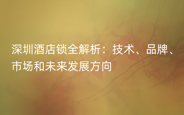 深圳酒店锁全解析：技术、品牌、市场和未来发展方