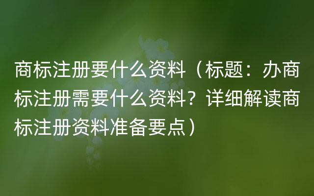 商标注册要什么资料（标题：办商标注册需要什么资料？详细解读商标注册资料准备要点）