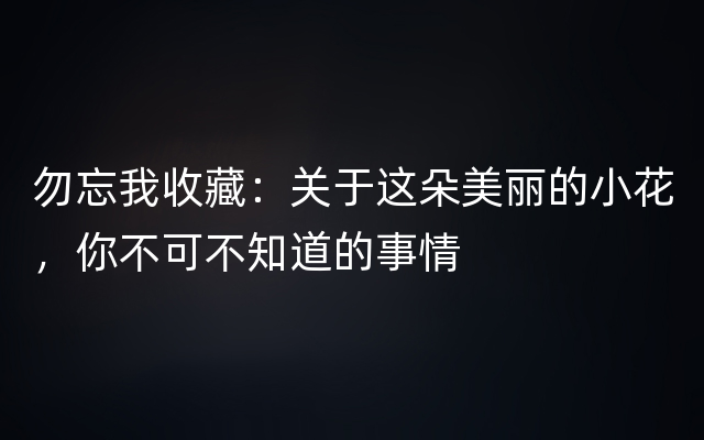 勿忘我收藏：关于这朵美丽的小花，你不可不知道的事情