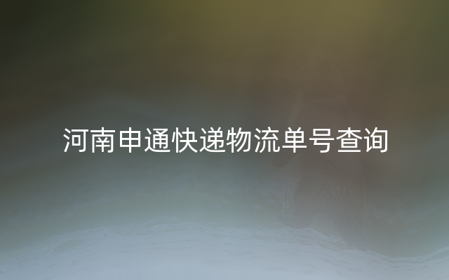 河南申通快递物流单号查询