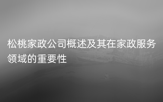 松桃家政公司概述及其在家政服务领域的重要性