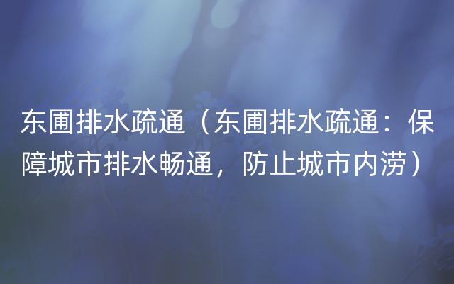 东圃排水疏通（东圃排水疏通：保障城市排水畅通，