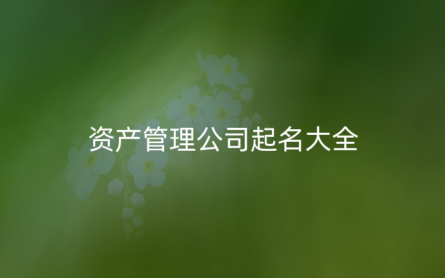 资产管理公司起名大全