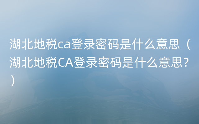 湖北地税ca登录密码是什么意思（湖北地税CA登录密