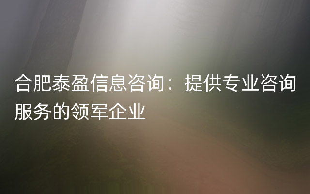 合肥泰盈信息咨询：提供专业咨询服务的领军企业