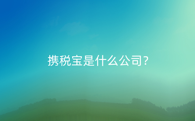 携税宝是什么公司？