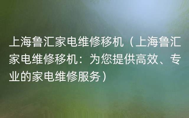 上海鲁汇家电维修移机（上海鲁汇家电维修移机：为您提供高效、专业的家电维修服务）